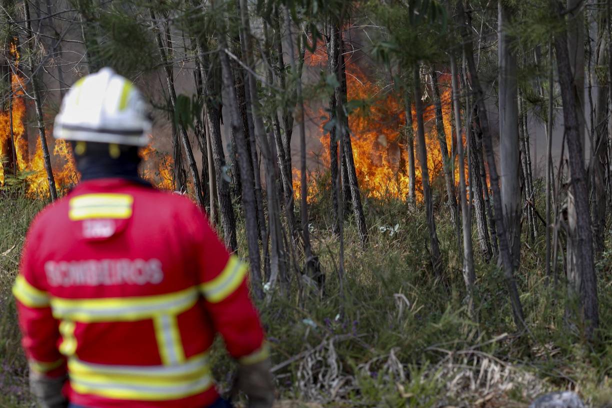 Algunos fuegos llevan días activos, como el que desde el pasado lunes ha quemado unas 9.000 hectáreas en Monsagro (noroeste), donde las condiciones meteorológicas dificultan las tareas de extinción y en esta jornada el viento obligó a retirarse a los medios aéreos que lucha contra el incendio, según fuentes de los servicios de emergencias.