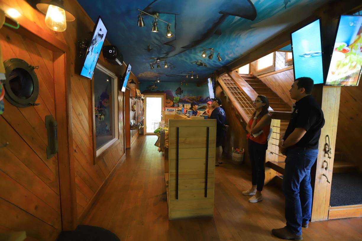 El acuario marino estará abierto todos los días en el horario de 10:00 de la mañana hasta las 4:00 de la tarde.