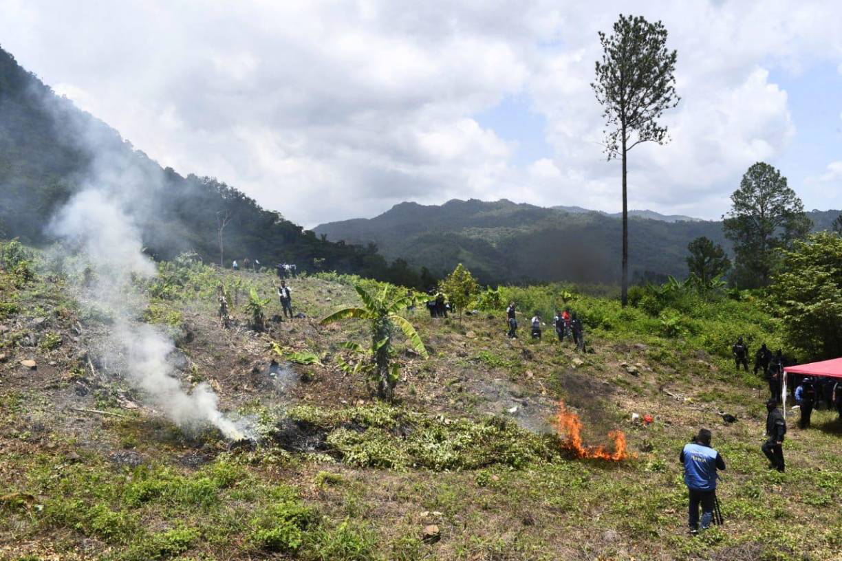 En el operativo fue desmantelado un pequeño laboratorio de madera donde se estaba procesando la droga. 