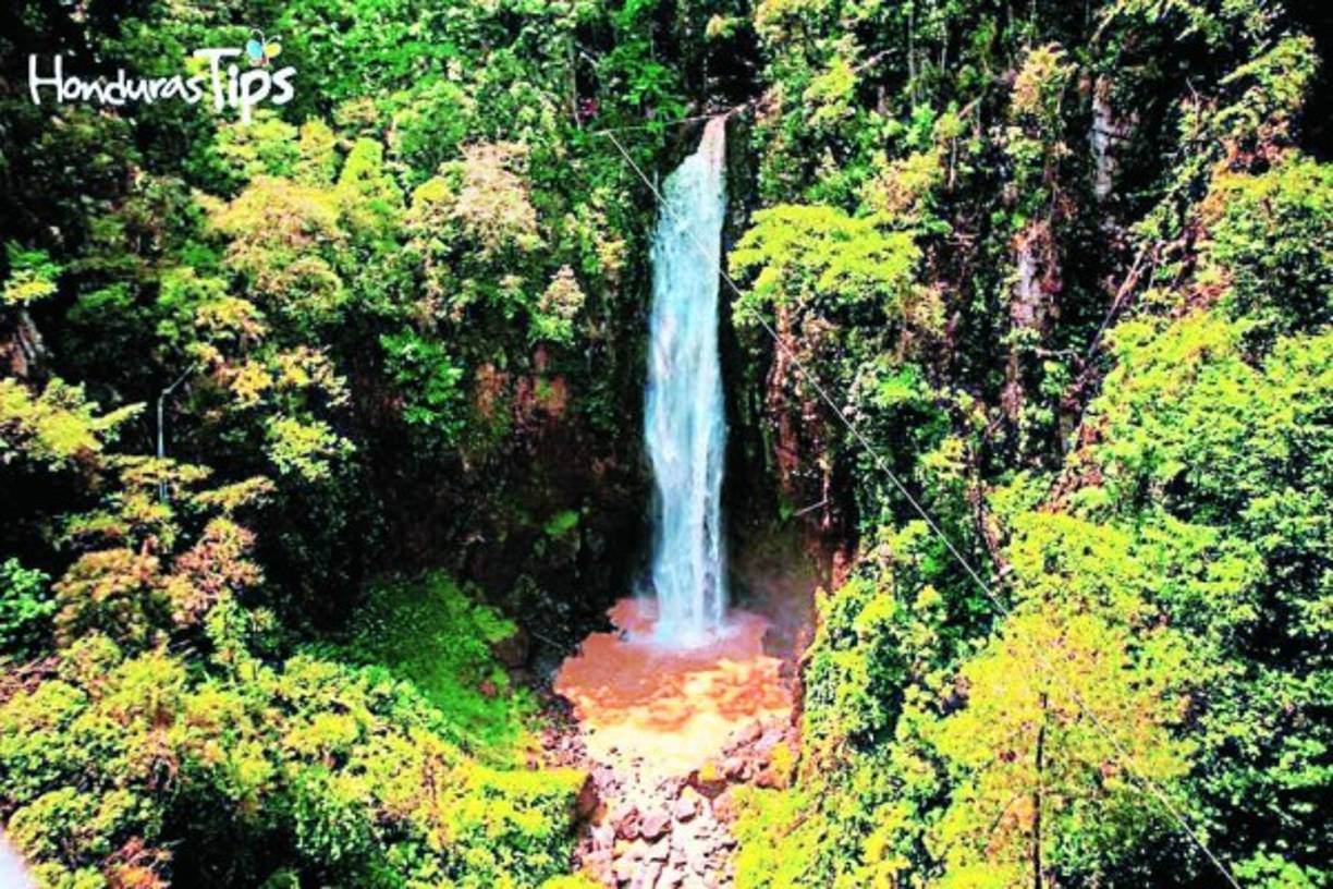 Cascada El Chiflador. Escondida entre un hermoso bosque nublado se encuentra en la reserva del mismo nombre, situada en el municipio de Marcala, La Paz.