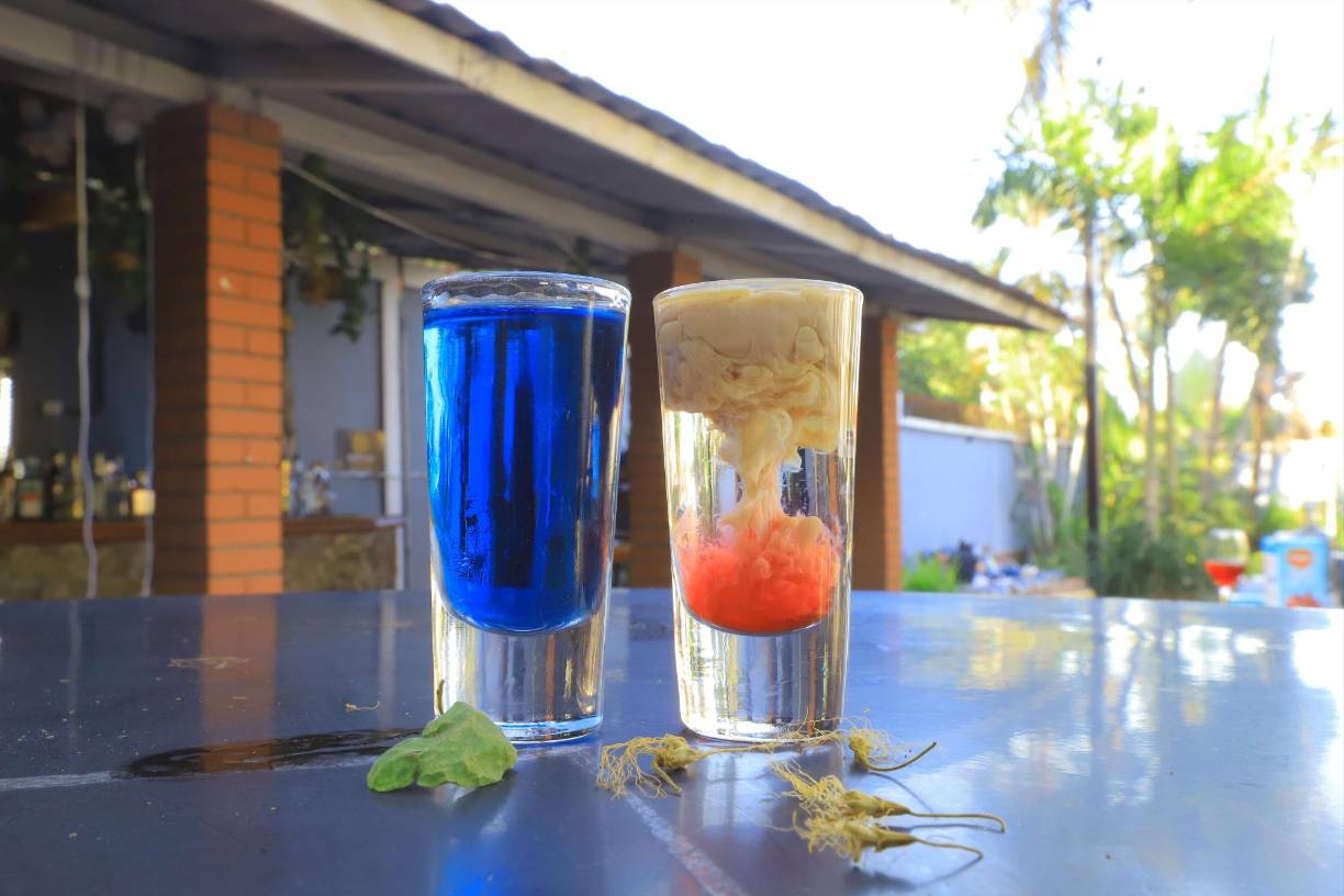 Aquí usted puede disfrutar en grupo, consumir deliciosas bebidas y tomar el sol en un área exclusiva.