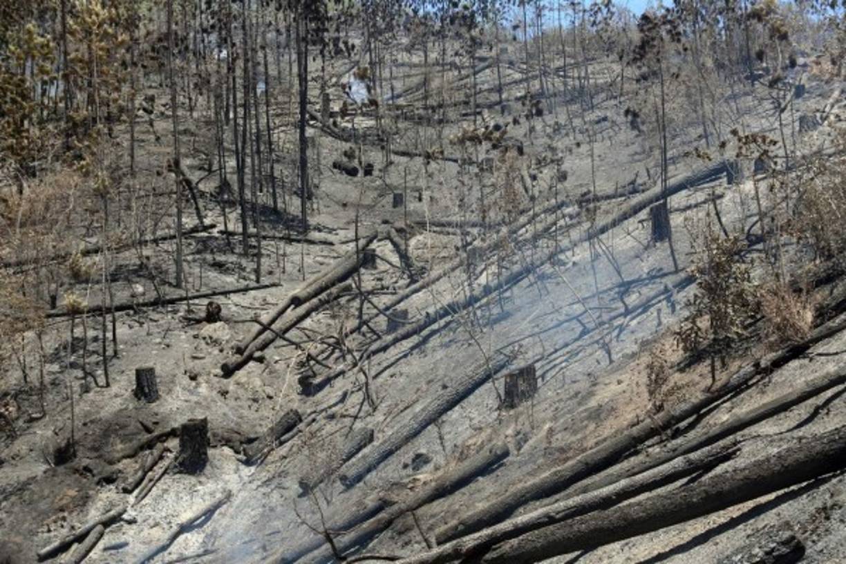 La zona incendiada ofrece un paisaje desolador.