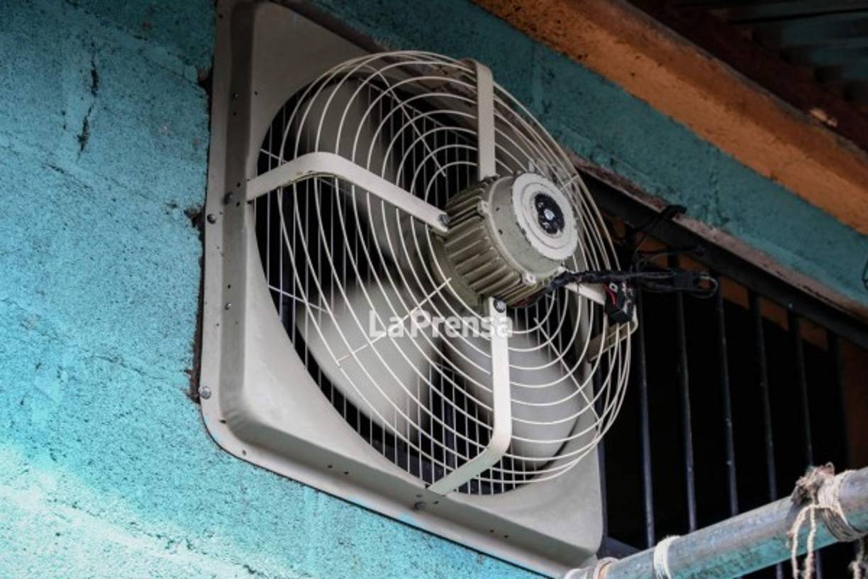 Algunso presos tienen la posibilidad de tener instalados en sus habitaciones aires acondicionados.