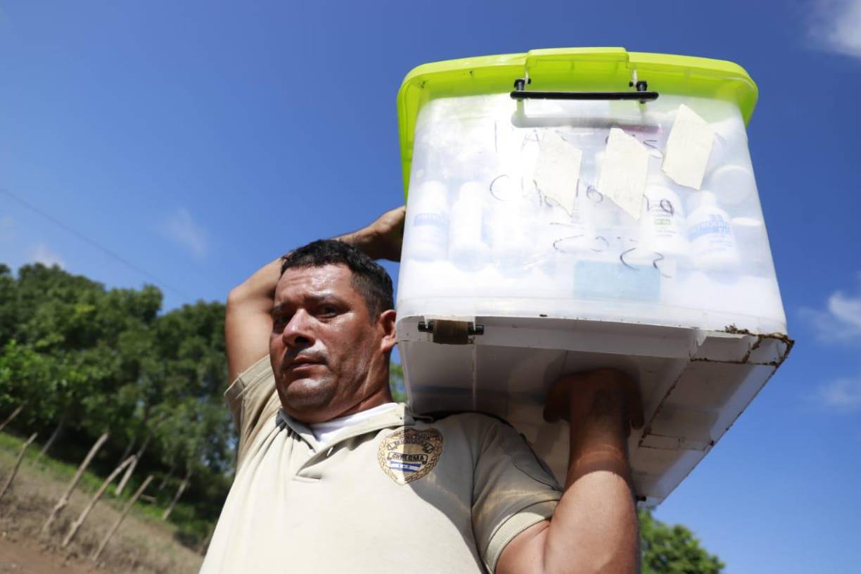 Así trasladan alimentos a más de 500 familias afectadas por inundaciones en los bajos de Choloma. 