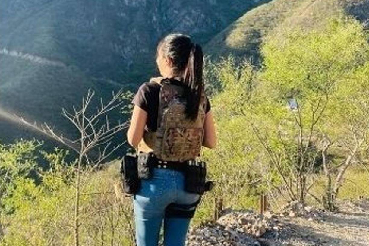 Los carteles de la droga son organizaciones criminales dedicadas al tráfico de drogas, y su estructura y número pueden variar debido a factores como conflictos internos, enfrentamientos con las fuerzas de seguridad y fusiones.