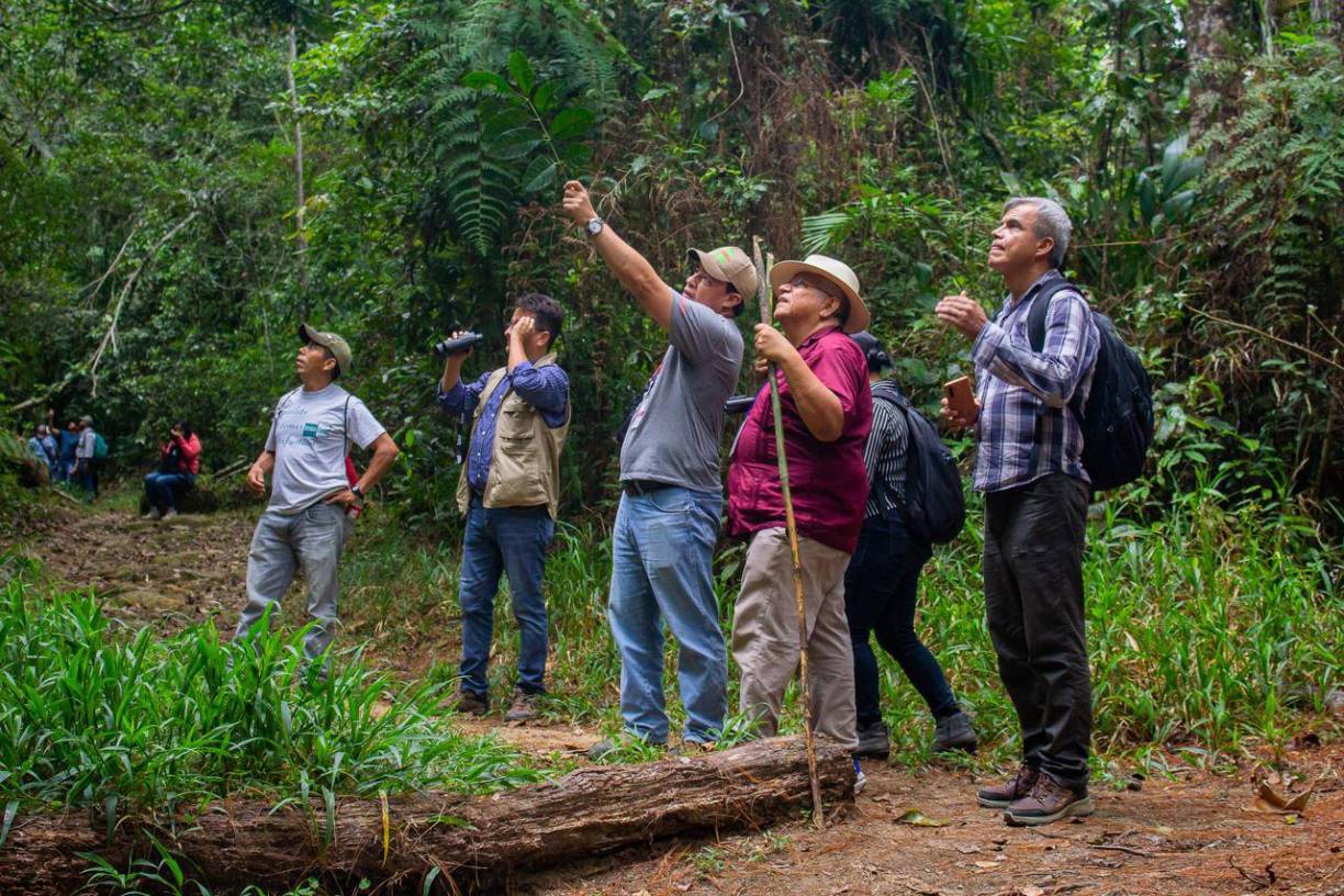 En el evento se contó con la participación de investigadores provenientes de Estados Unidos, México, Guatemala, Honduras, República Dominica, Costa Rica, Colombia, Ecuador, China y Tailandia. 