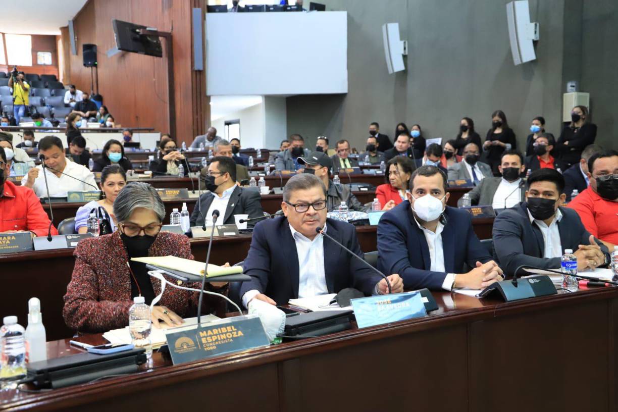 La diputada Maribel Espinoza reprochó que se pretende incorporar como candidatos a la CSJ a dirigentes o miembros de un partido político y a personas que tengan sentencias por delitos dolosos, violencia domestica o incumplimiento de deudas alimentarias.