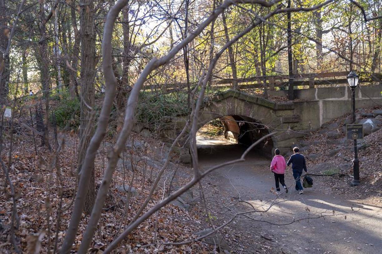 Mientras que las condiciones en Nueva Jersey son las más secas en casi 120 años, de acuerdo con el Servicio de Bomberos Forestales de ese estado. Nueva Jersey recibió medio milímetro de lluvia en octubre, cuando lo normal son 10,64 cm.