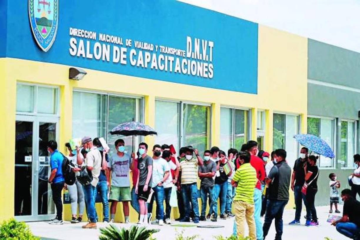 Tránsito también informó que ya se trabaja en la licitación para la compra de los insumos y el material para la elaboración de este documento físico, cuya emisión fue suspendida a mediados de enero de este año.