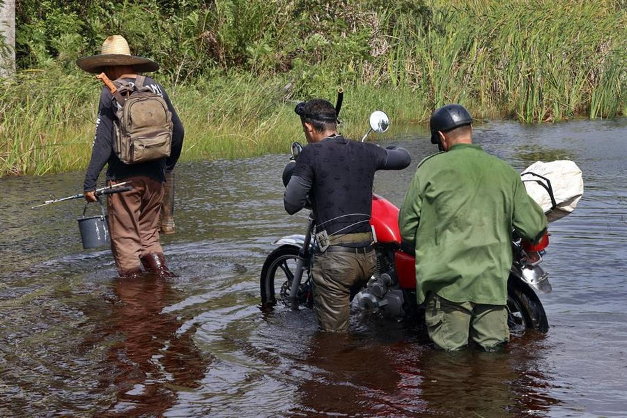 Asimismo, ocasionó cortes de la electricidad y daños visibles a la agricultura. Las provincias de Artemisa y Pinar del Río recibieron los mayores embates de Helene, que pasó este miércoles a huracán de categoría 1 (de cinco) en la escala Saffir-Simpson y se encuentra ya en el Golfo de México como categoría 2. En Guanímar, una playa situada al sur de Artemisa
