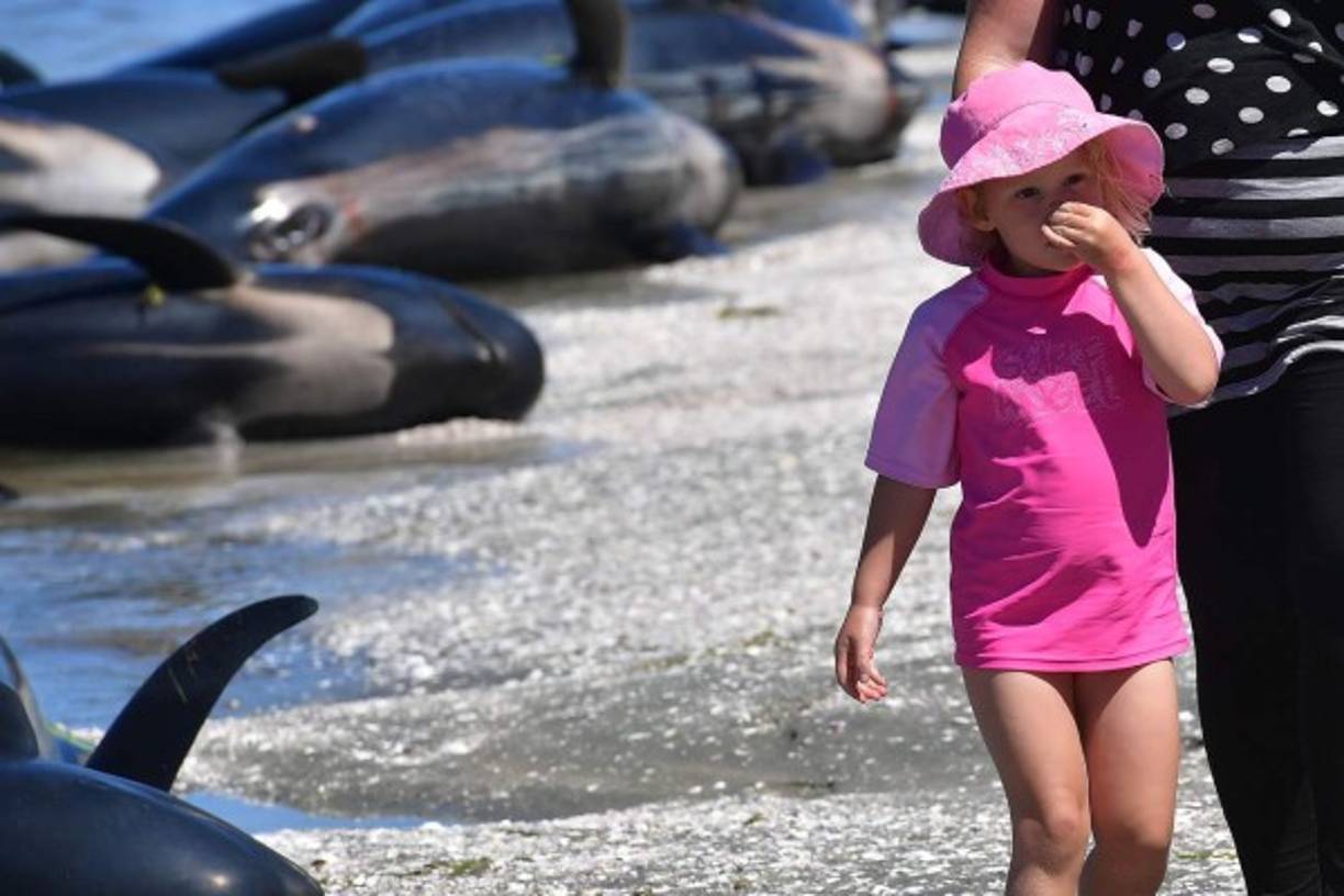 Esta jovencita cubre su nariz ante el hedor que producen los cuerpos muertos de las ballenas piloto varadas.