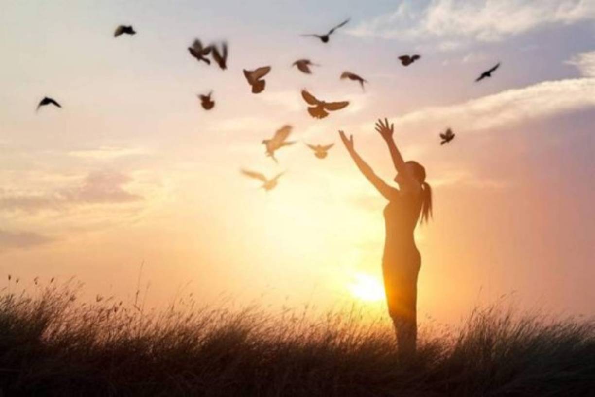 7. La felicidad es un estado de consciencia que viene de la tranquilidad, servicio, amor y perdón (Debasish Mridha)