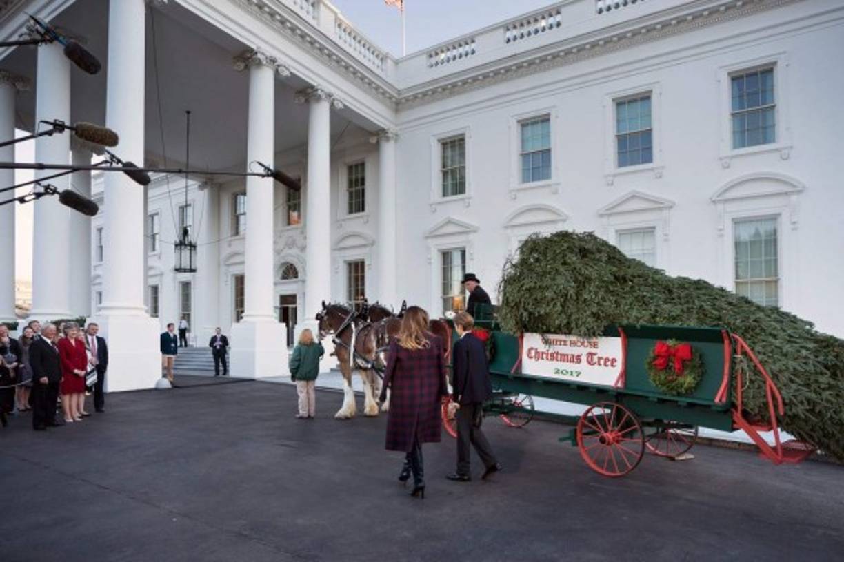 Melania Trump agradeció la entrega del árbol a los miembros de la familia Chapman de Silent Night Evergreens, la granja en la que creció el abeto, y ensalzó las condiciones del mismo, al que calificó como 'bueno y bonito', una opinión que corroboró su primogénito asintiendo en repetidas ocasiones.