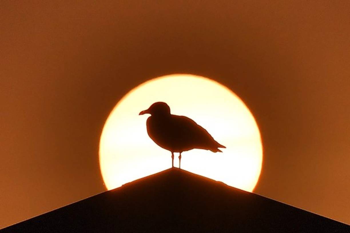 Mientras Irlanda era golpeada por el huracán Ofelia, una 'tormenta sin precedentes' en Europa, un extraño fenómeno se observó en los cielos del Reino Unido y Francia luego de que el sol se tornará de color rojo.