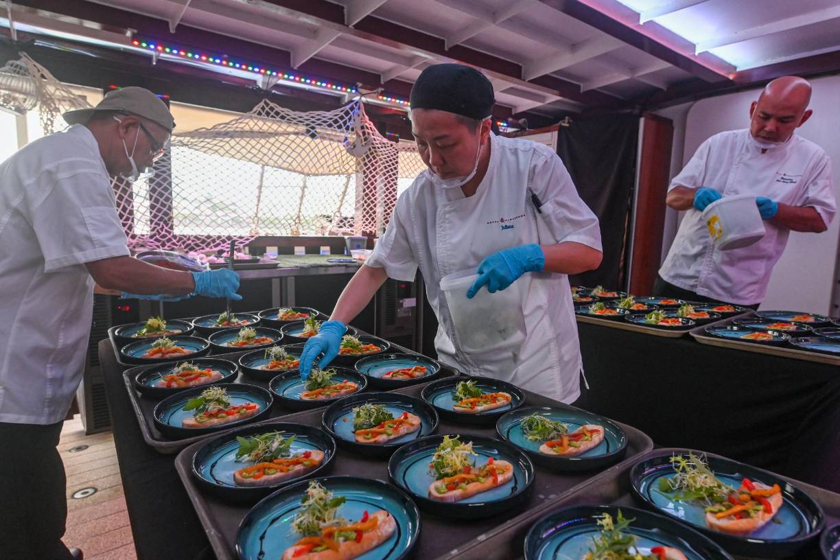 Estos son algunos de los platillos que ofrecen de alimento para los gatos que acompañan a sus dueños en su paseo de crucero.