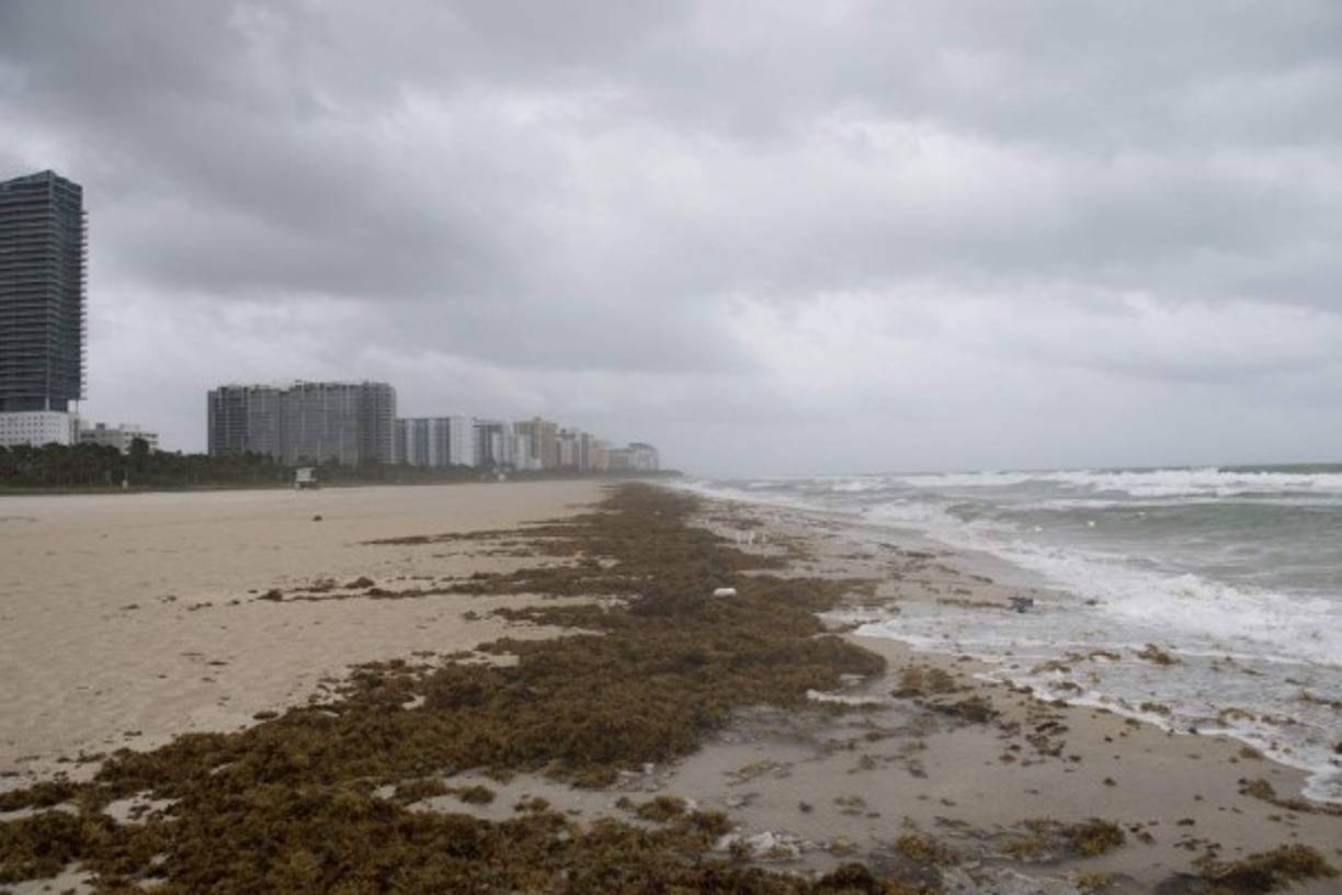 Vientos y lluvia comenzaron a sentirse en las playas de Miami desde la mañana del sábado.