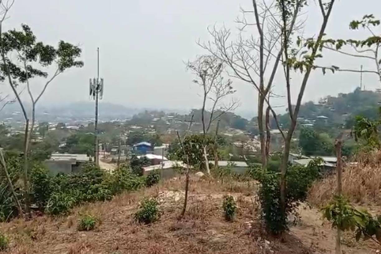 El portavoz de la Agencia Técnica de Investigación Criminal (ATIC), Jorge Galindo, dijo a periodistas que en la exhumación participa personal de esa institución, la Dirección General de Medicina Forense, la Fiscalía Especial de Delitos Contra la Vida y la Policía Militar del Orden Público.