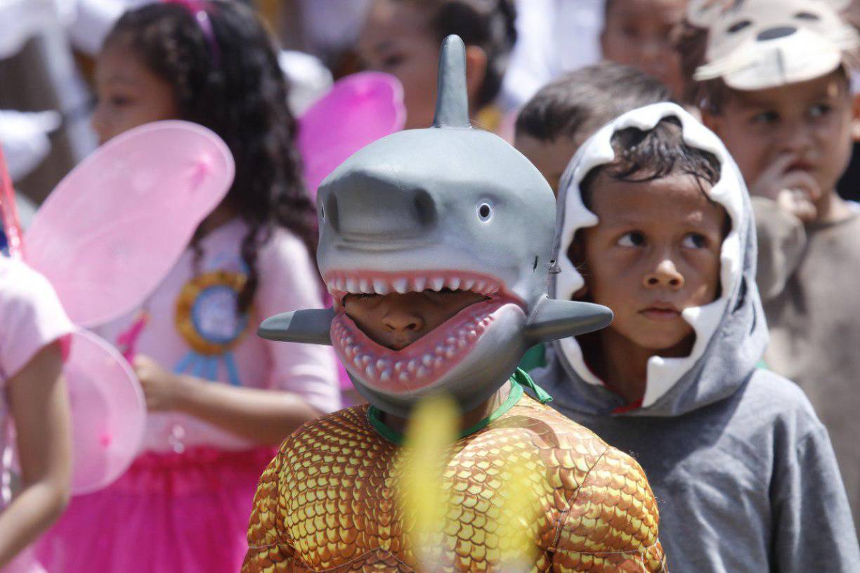 ¡Llegó el Tiburón! Desde las profundidas de estas “Honduras” llegó para atacar los corazones de la gente este acuamán con cara de tiburoncito.