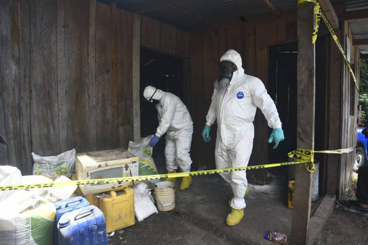 Plantas de coca eran para procesar diez kilos de cocaína