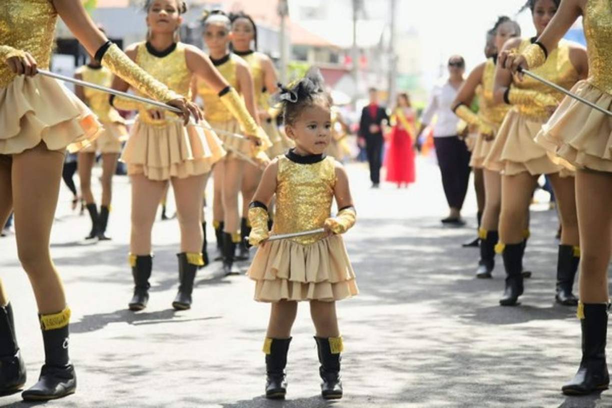 Linda palillona que dijo presente al festejo de nuestra independencia patria.