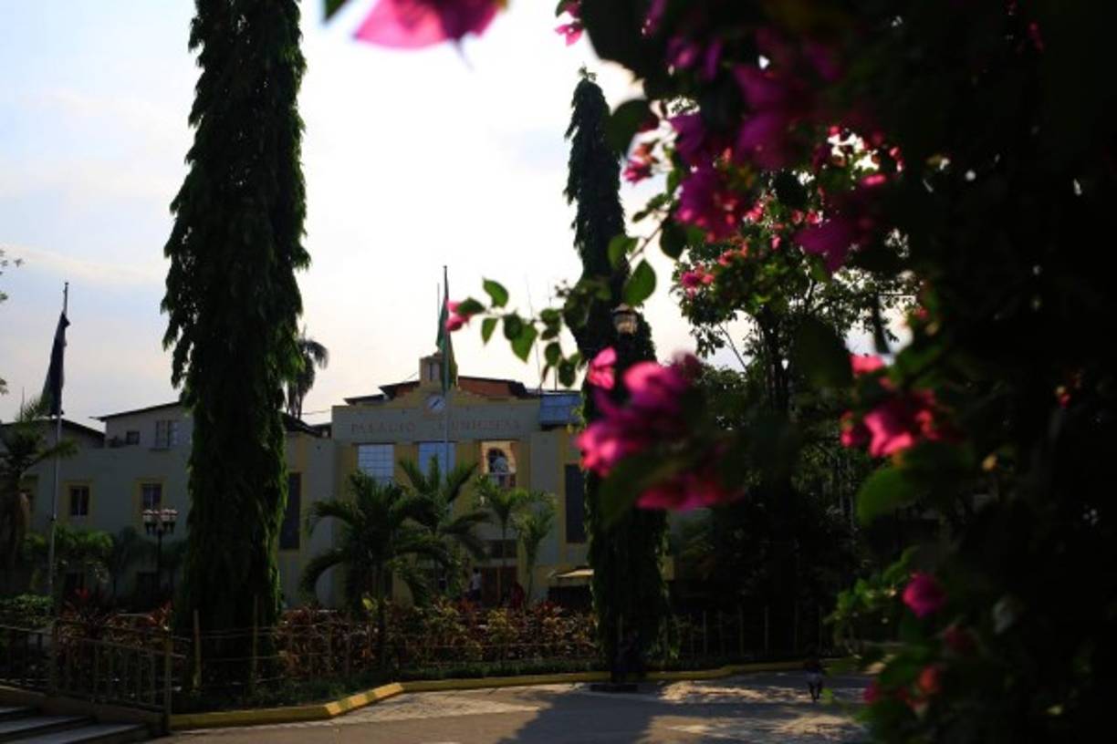 El color de los napoleones resalta el parque central sampedrano.