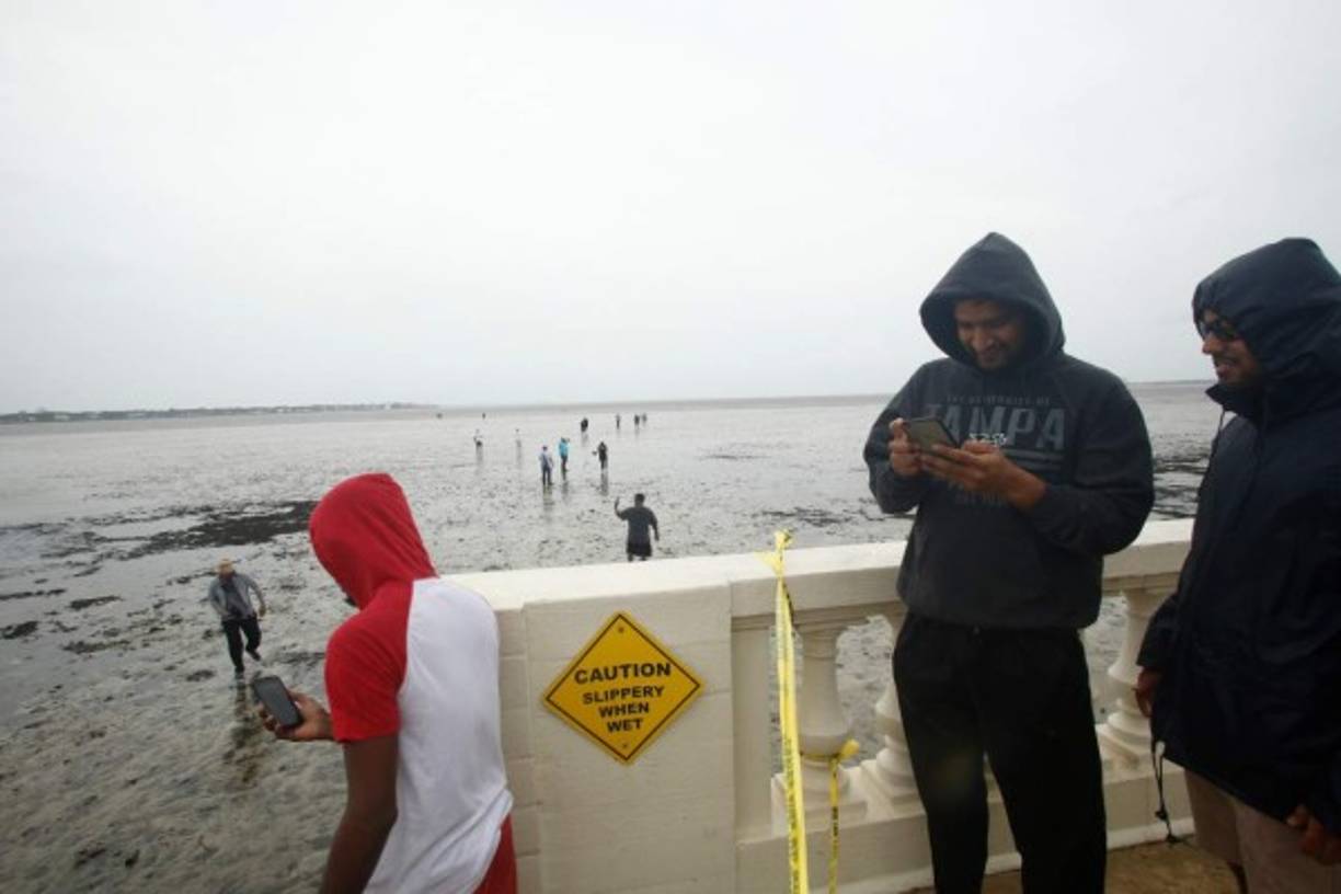Los residentes de Tampa salieron a presenciar el extraño fenómeno y se tomaron selfies caminando por donde debería estar el mar, en un fenómeno que ya se dio en Key Largo y en las Bahamas.