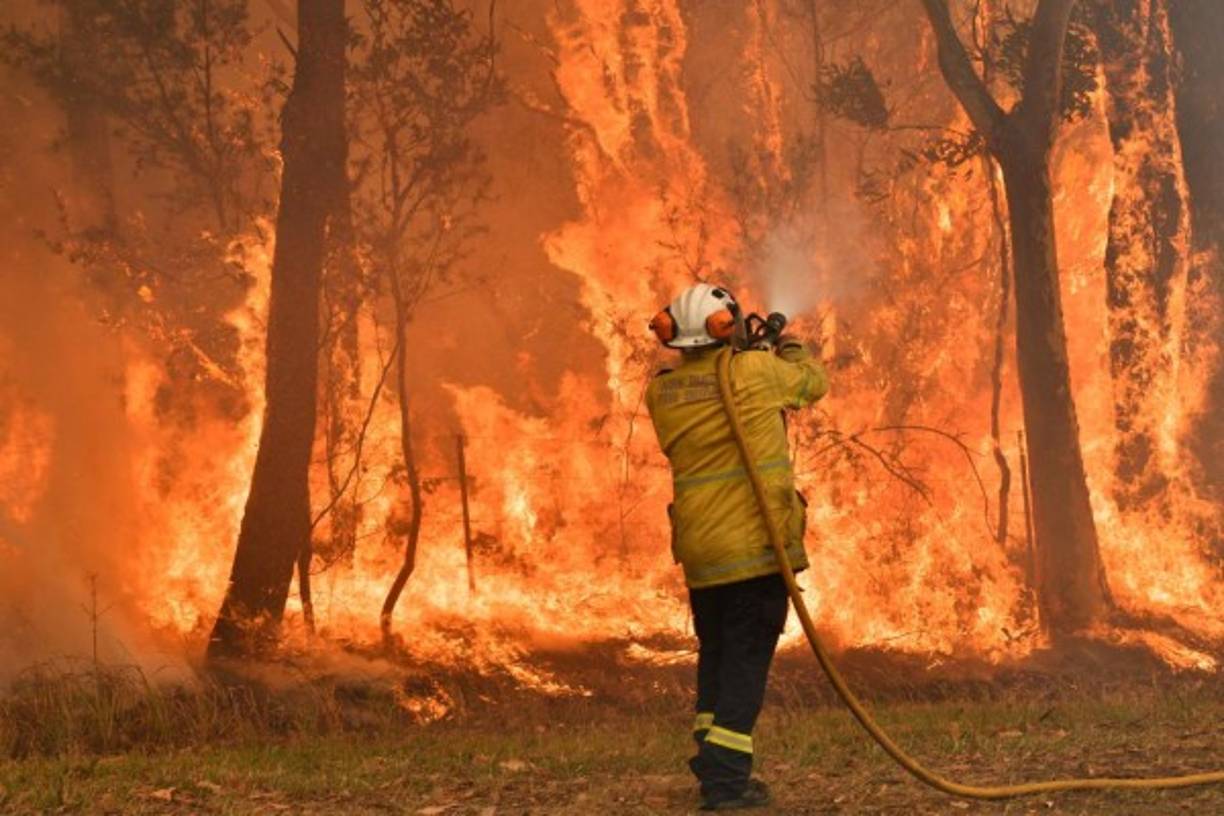 Las temperaturas podrían subir a 47 °C en algunas zonas de Nueva Gales del Sur. En Sídney, en la costa, serán más bajas, alrededor de 37° C, y al final del día refrescará.