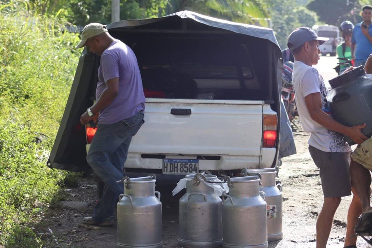 La toma de las vías comenzó a las 6:00 de la mañana, afectando así la producción de leche.