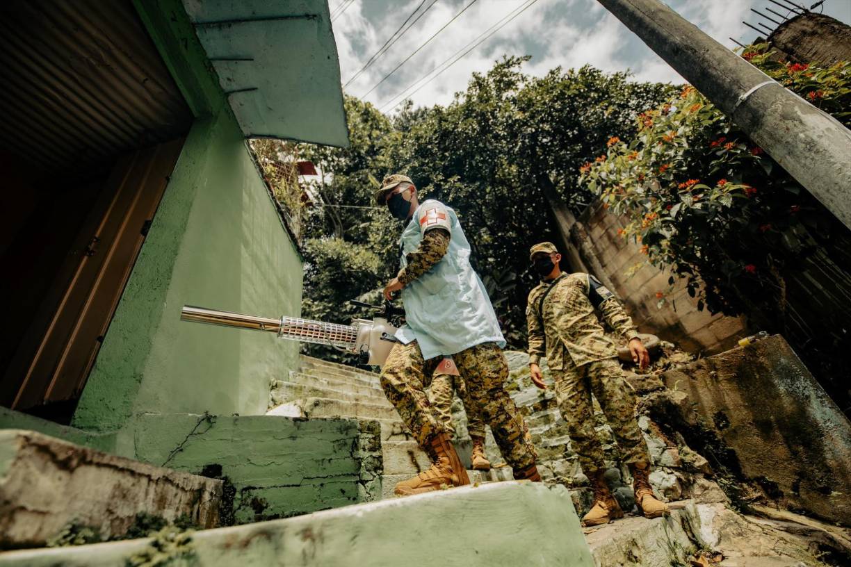 El dengue es una enfermedad febril que se transmite por la picadura de un mosquito (Aedes aegypti) distribuido en las Américas y que afecta a lactantes, niños y adultos.