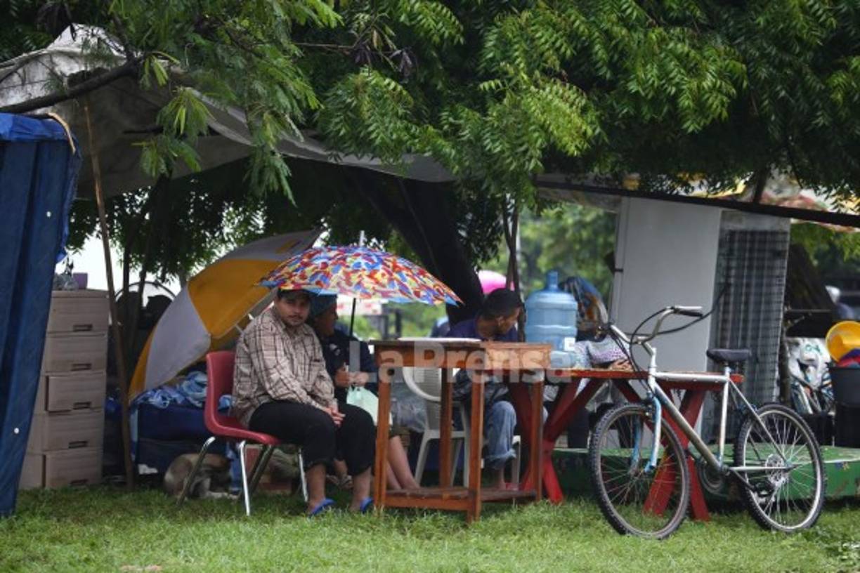 Desde anoche los limeños comenzaron a construir sus champas en el bulevar que de este municipio conduce hacia El Progreso.