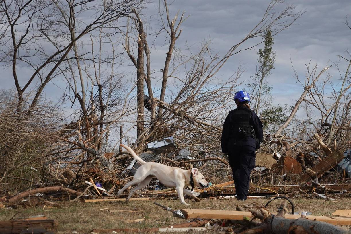  A los 74 decesos en Kentucky se suman los 4 registrados en Tennessee, 2 en Arkansas, otros tantos en Misuri y 6 más en Illinois, donde se derrumbó parcialmente una gran almacén de la empresa de comercio electrónica Amazon, con lo que el saldo total en todos esos estados es de al menos 88 muertos. 