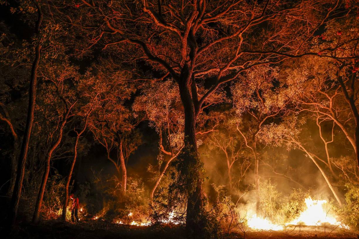 Los <b>incendios</b> se expanden principalmente por la acción humana, con fines de renovar las zonas de pasto o expandir las tierras agrícolas. 