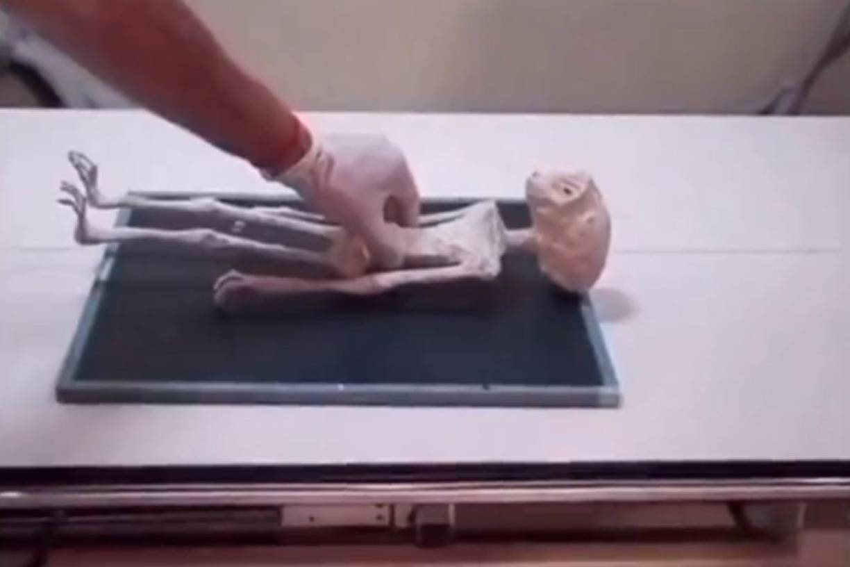 No hay evidencia científica que valide que los cuerpos disecados presentados ante el Congreso mexicano la semana pasada tengan un origen “extraterreste”, a pesar de que así lo afirman centenares de internautas que comparten imágenes sobre el evento.