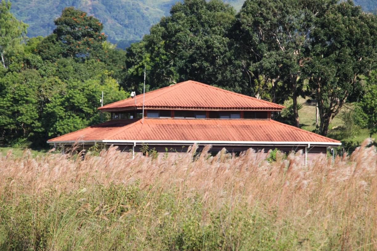 En la pintoresca comunidad de Río Amarillo, a solo 17 kilómetros de Copán Copán Ruinas, Honduras, una infraestructura que alguna vez se alzó como un símbolo de esperanza y progreso ahora yace en el olvido y la controversia.