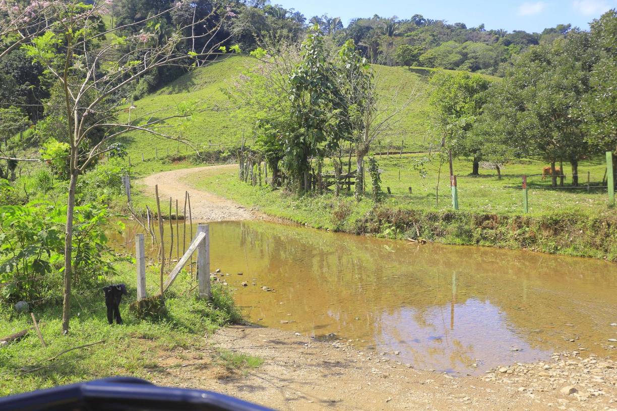 “Ellos (narcos) ya saben que entramos y estamos aquí”, pronuncia Espinoza mientras coloca sus gafas y nos muestra la estela de montañas que hay alrededor. Argumenta que estas organizaciones tienen sus “banderas” (vigilantes) en la zona.