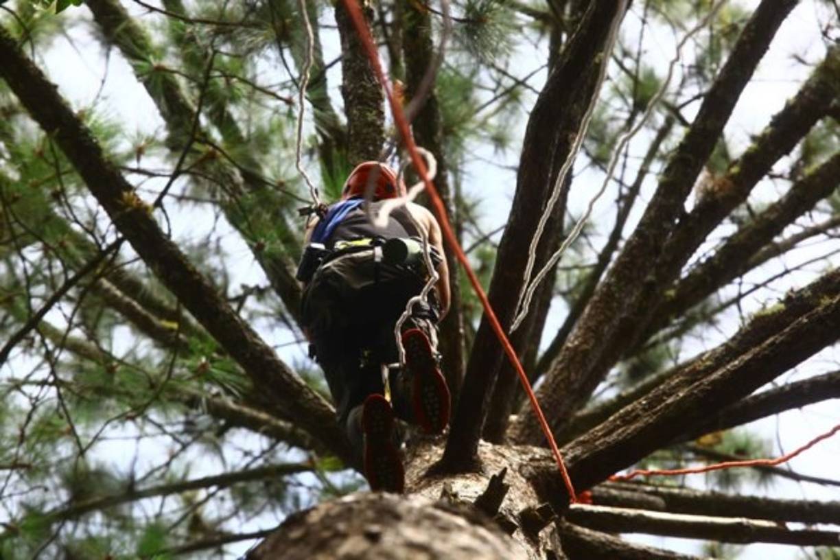 Visitar y recorrer esta reserva natural es atreverse a tener uno de los acercamientos más sublimes con la naturaleza. Este destino turístico regala a los viajeros paradisiacos paisajes capaces de enamorar.