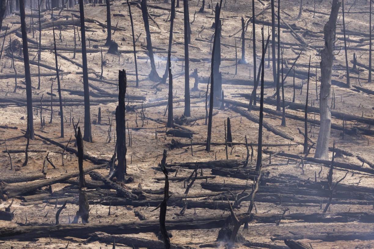 Científicos sostienen que el cambio climático genera olas de calor cada vez más frecuentes e intensas que propician incendios forestales.