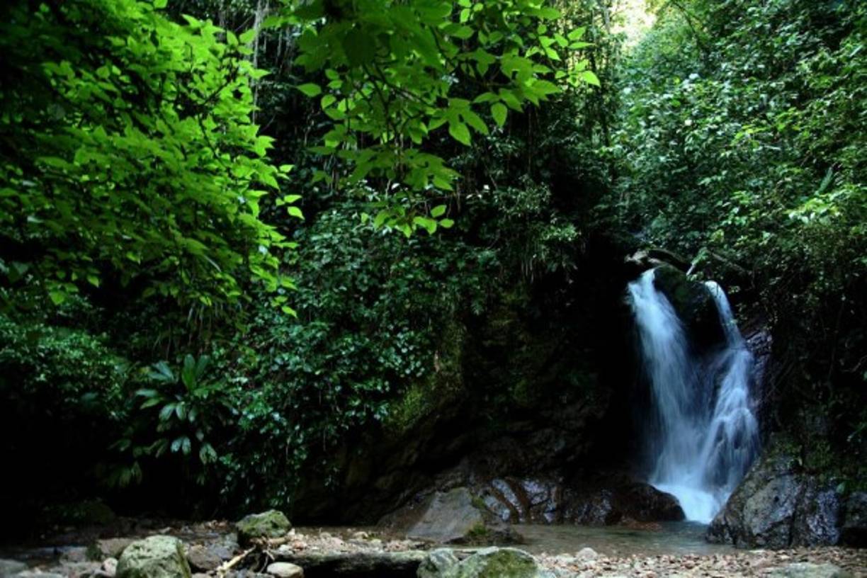 Por el sendero natural Los Vencejos se llega a una cascada.