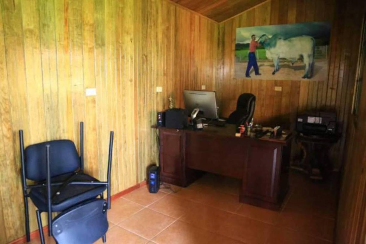 Una de las oficinas forrada de madera de color.