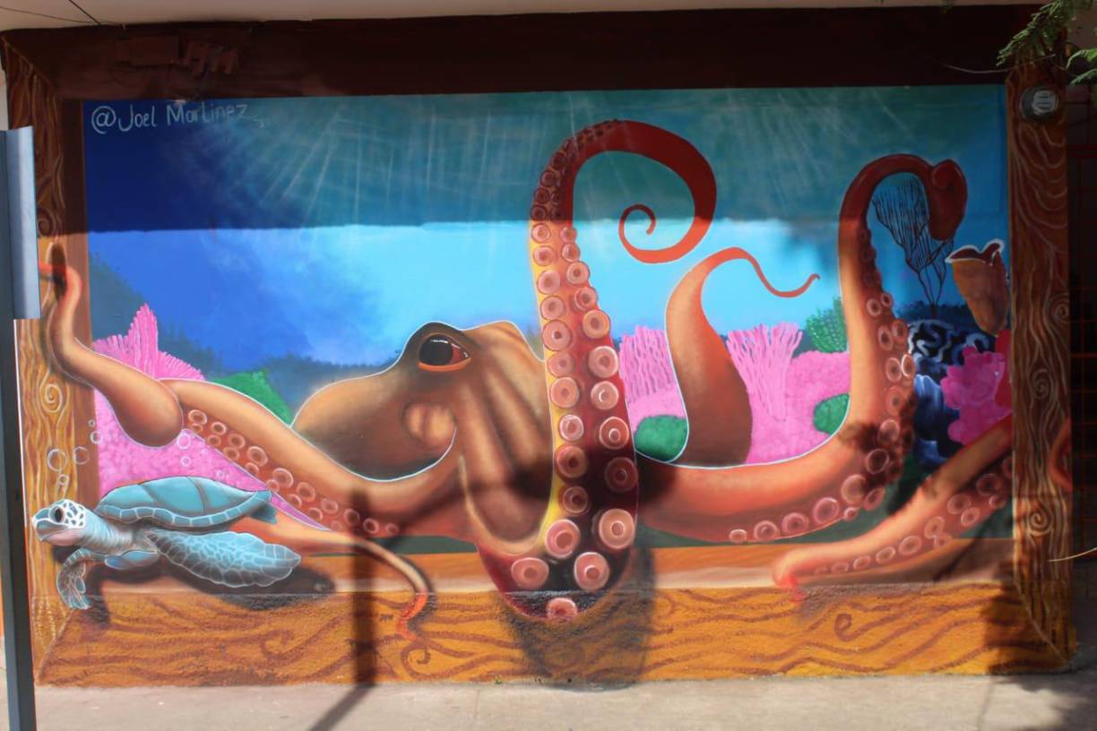 También se pretende “elevar a San Antonio como un municipio próspero ya que siempre ha sido considerado como el municipio más atrasado del departamento de Cortés”, comentó López.