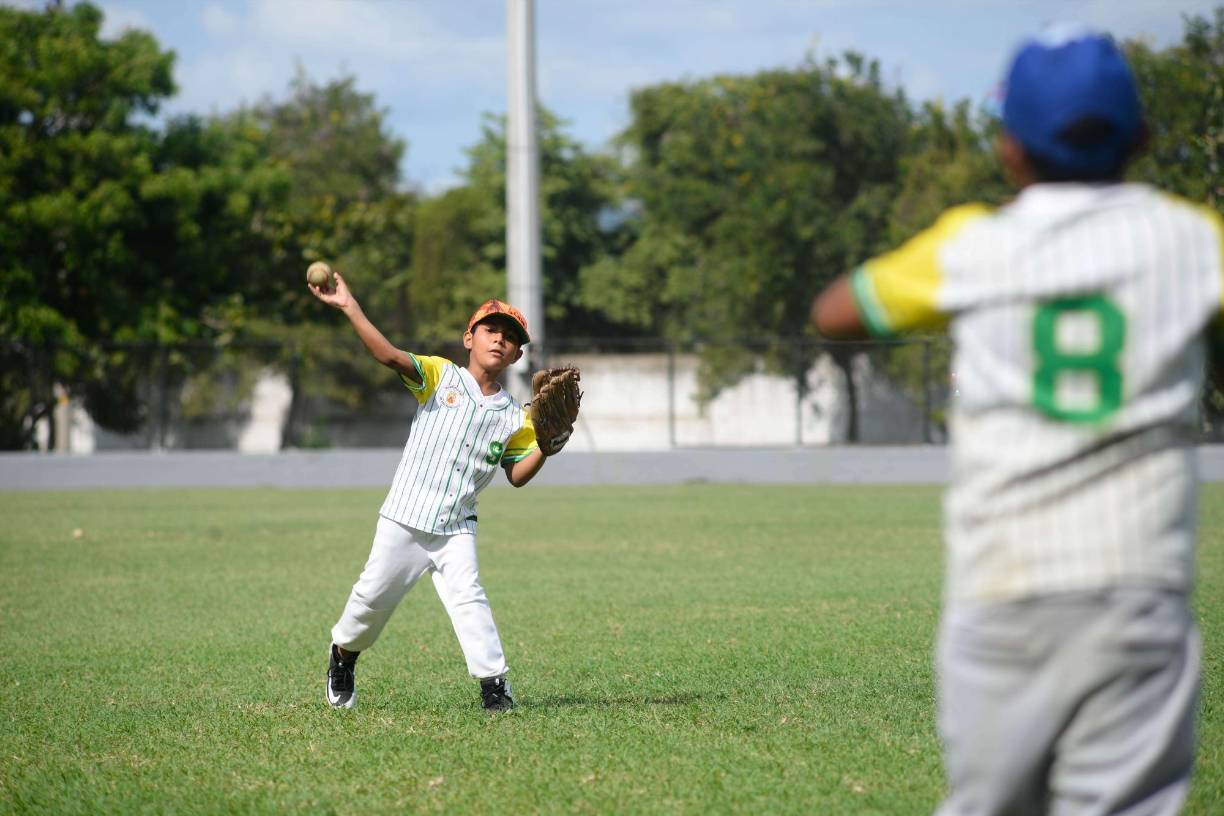El Estadio de Béisbol en el Complejo Olímpico es un espacio remodelado y acondicionado para la formación de atletas sampedranos. Cuenta ahora con un espacio apto para albergar encuentros deportivos de alto nivel de béisbol y softball. 