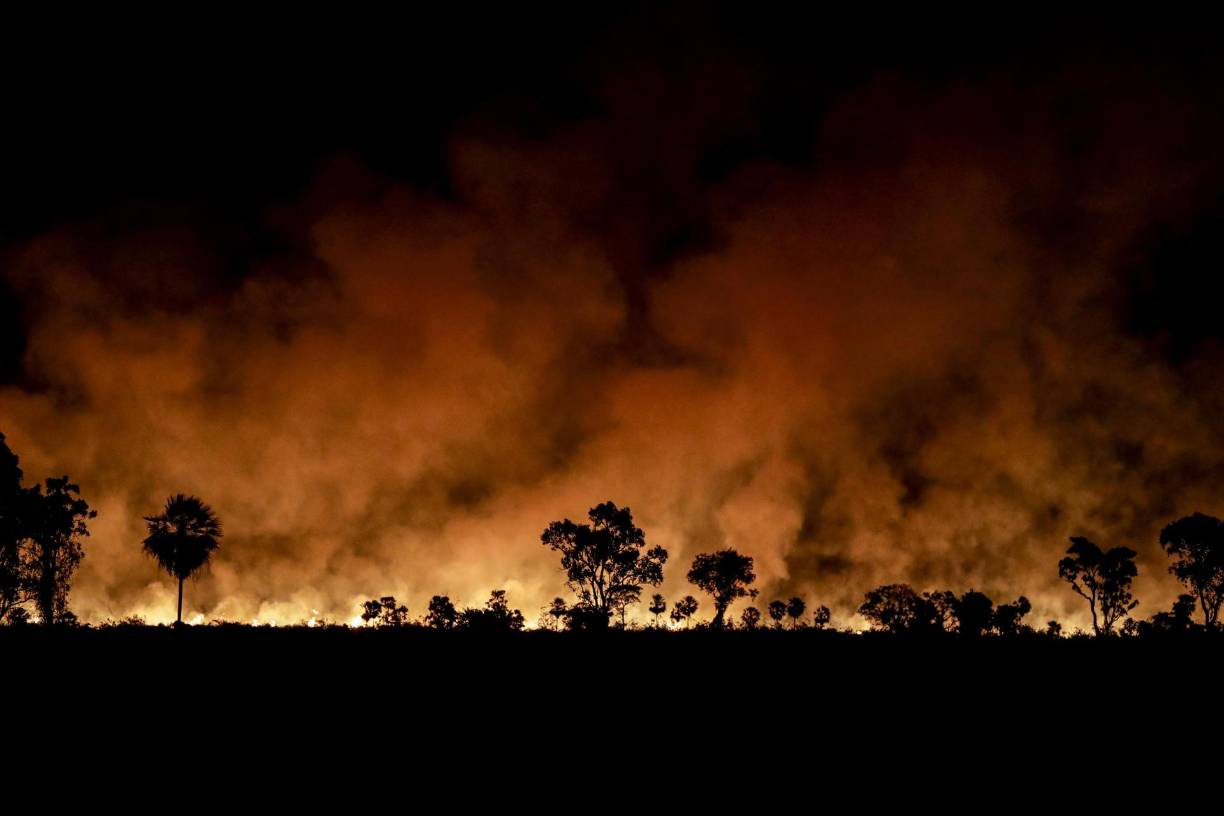 Según Romulo Batista, portavoz de Greenpeace <b>Brasil</b>, “el cambio climático contribuye” a este aumento de <b>incendios</b> forestales, causados particularmente por una sequía excepcional que afectó a la Amazonía el año pasado. 