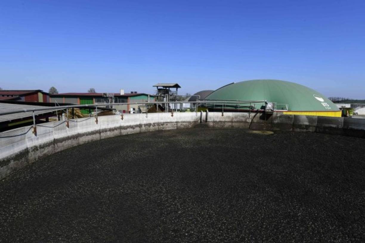 El museo recicla el excremento que producen sus vacas y crea con él productos de valor agregado.