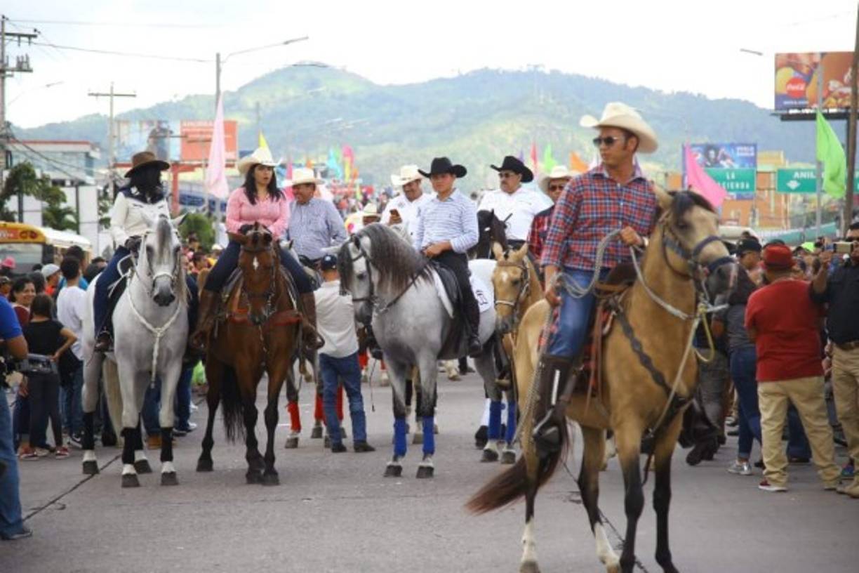 Hermosos caballos durante el desfile.