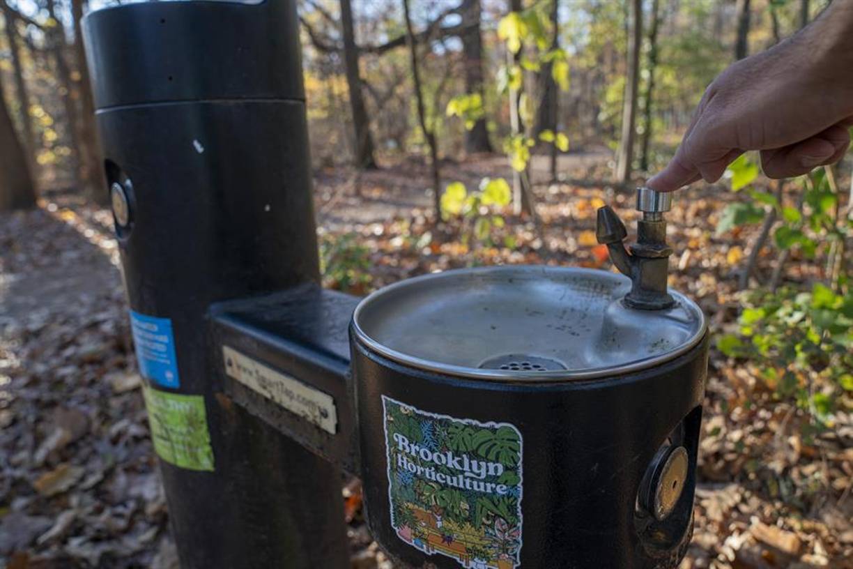 En la lucha contra el incendio, un bombero voluntario de 18 años, llamado Dariel Vásquez, murió el 8 de noviembre mientras limpiaba un área boscosa cuando un árbol cayó y lo golpeó.
