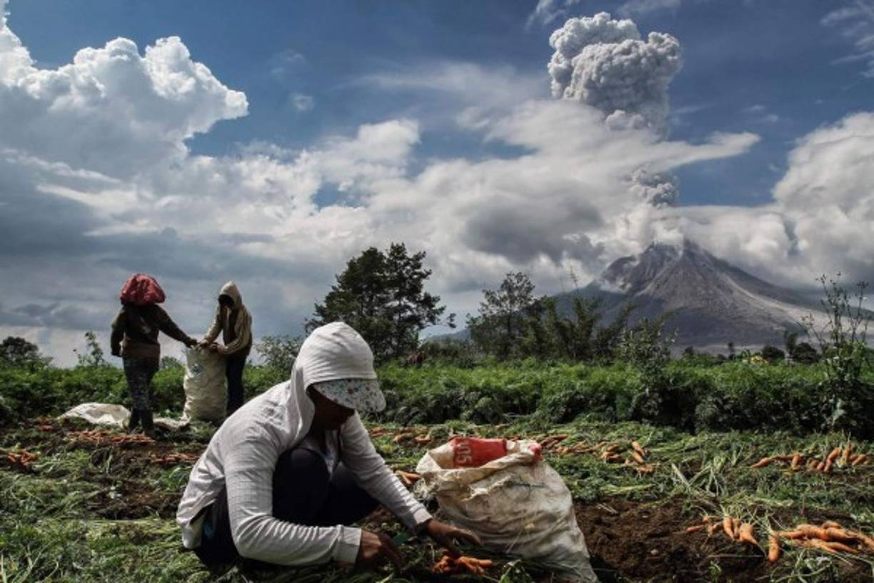 Indonesia. Lluvia de Cenizas. El volcán Sinabung entró en erupción, expulsando una columna de cenizas de 4.2 kilómetros de altura.