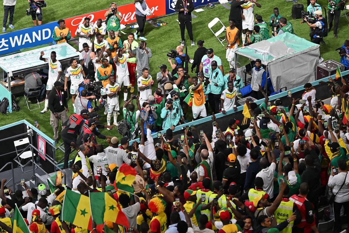 Llanto desconsolado: la tristeza de Ecuador por la eliminación