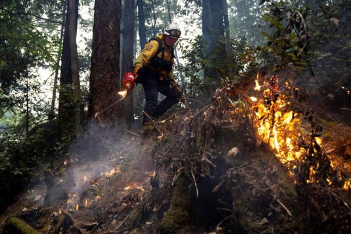 Los bomberos de California han recibido, en las últimas horas, refuerzos de hombres y equipos de varios estados estadounidenses, entre ellos Oregon, Texas, Arizona y Nuevo México, anunció el portavoz de CalFire.