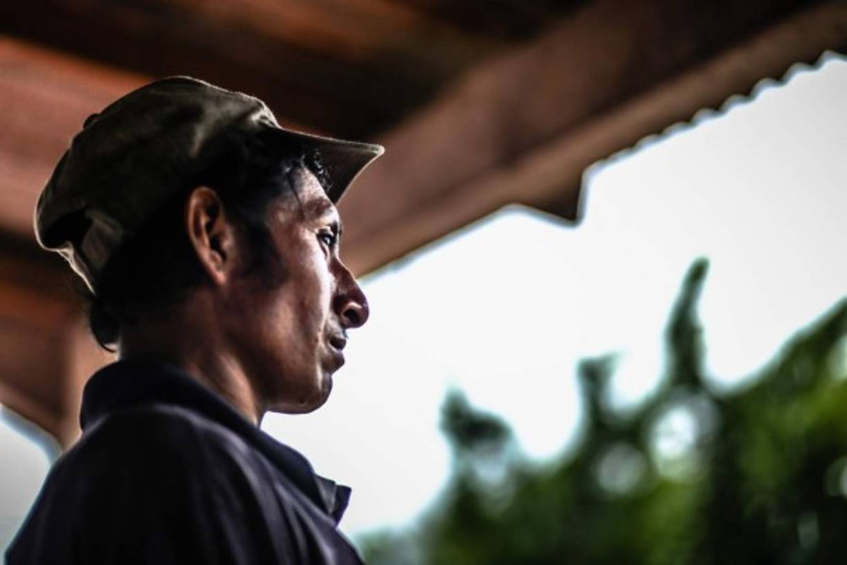 Las tierras que ocupan los tolupanes son un 60% tierras forestales, un 30% tierras dedicadas a la ganadería y un 10% tierras de uso agrícola.