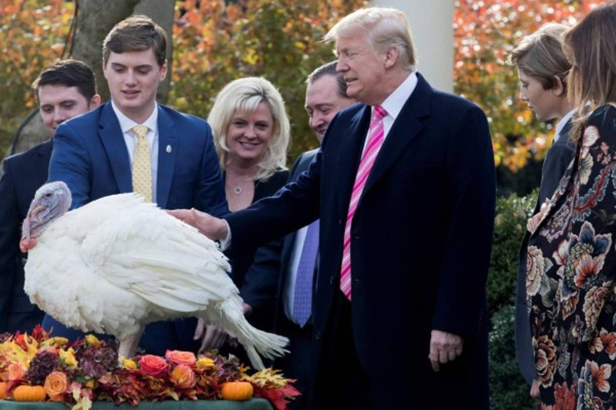 Antes de viajar a la Florida, Trump dirigió su primera ceremonia de indulto a pavos por el Día de Acción de Gracias.